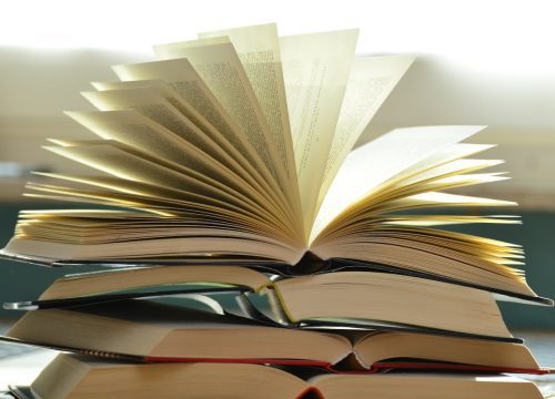 The MLA Seeding Grant Initiative for Research 2024